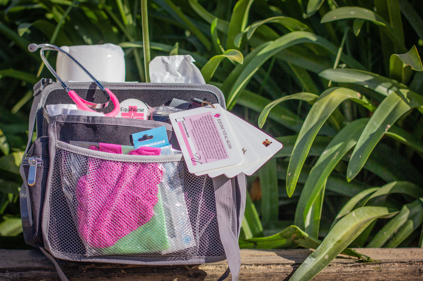 Equine first-aid kit 'The Essentials'