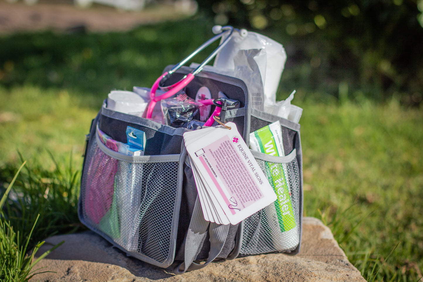 Equine first-aid kit 'The Essentials'